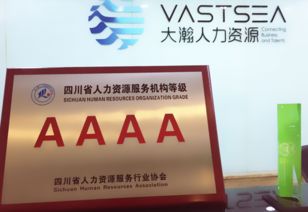 大瀚人力資源集團 企業(yè)管理咨詢如何推動組織變革與效能提升？